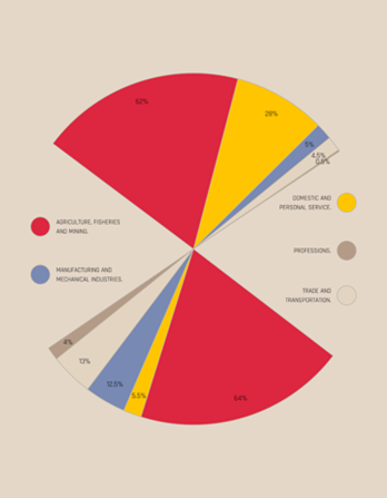 Graph with occupation information & percentages