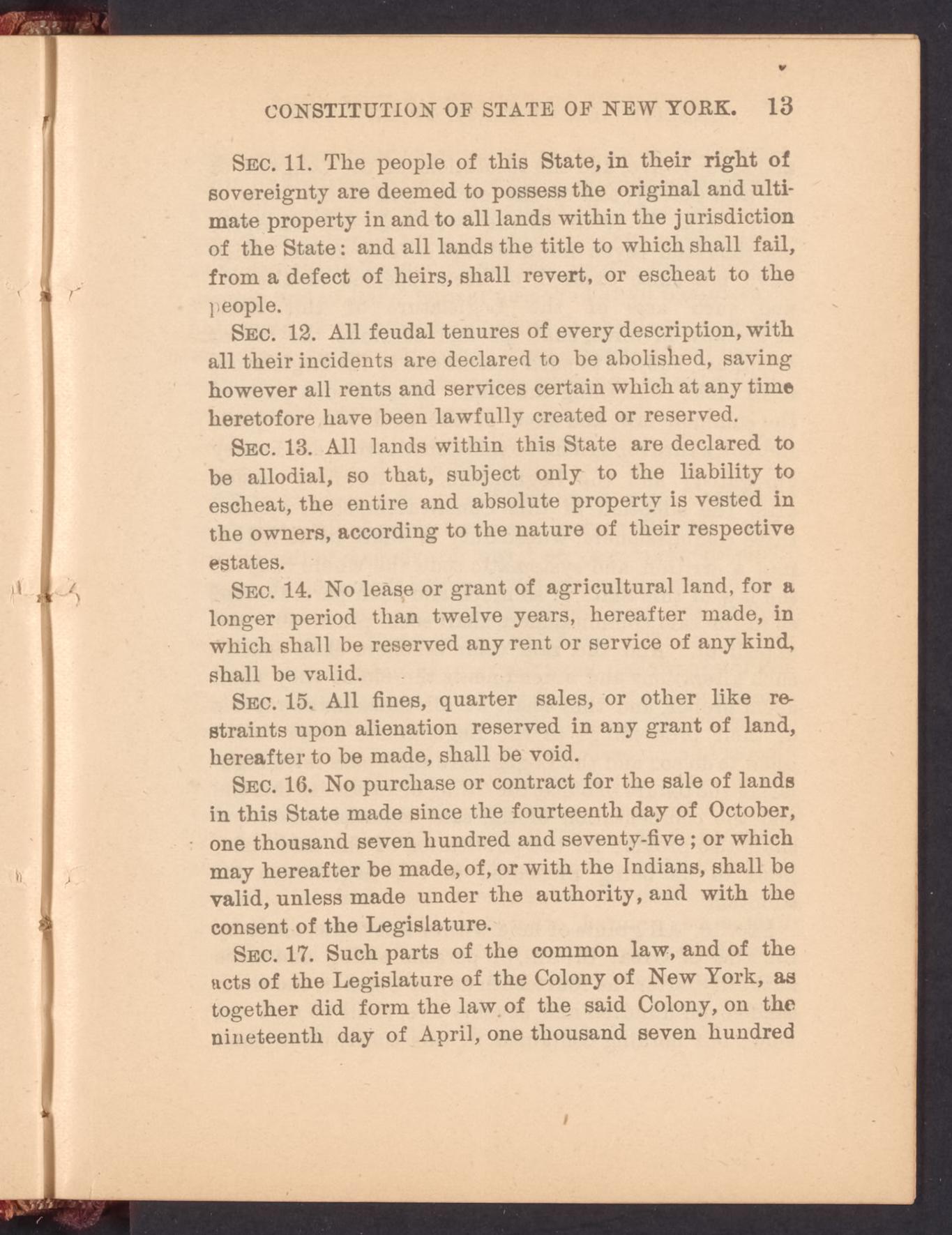 An image or articles within the 1846 New York Constitution